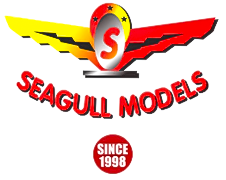 seagull